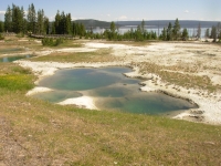 Hot Pool in Yellowstone